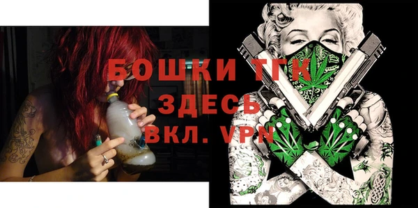 молекула духа Киреевск