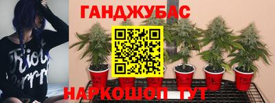 ECSTASY Малоярославец