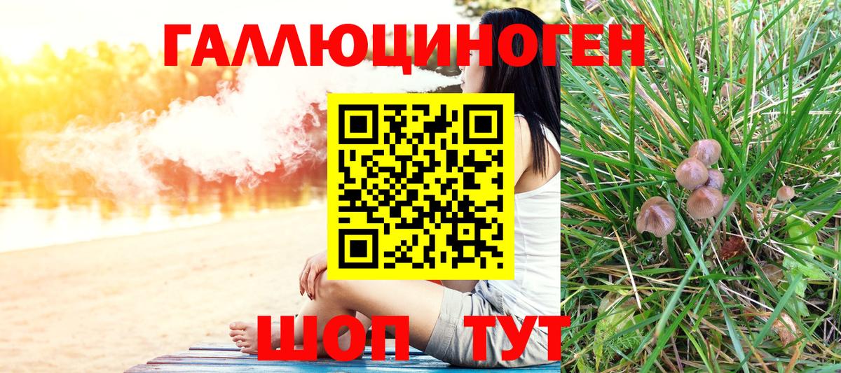 Псилоцибиновые грибы GOLDEN TEACHER Рыбинск