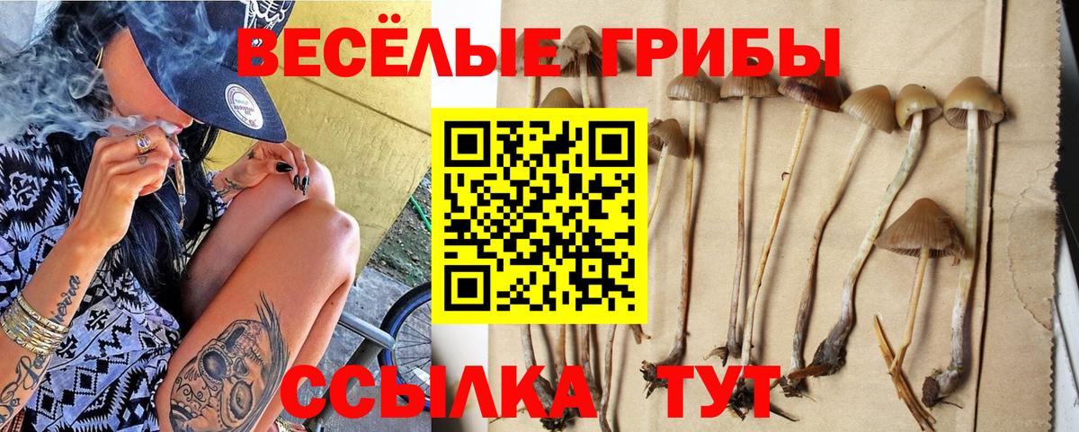 Псилоцибиновые грибы GOLDEN TEACHER  продажа наркотиков  Вход с VPN  Рыбинск  Галлюциногенные грибы мицелий 